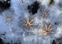 I STONAT SE DÁ S ÚSMĚVEM aneb leden 2026 na dětském oddělení