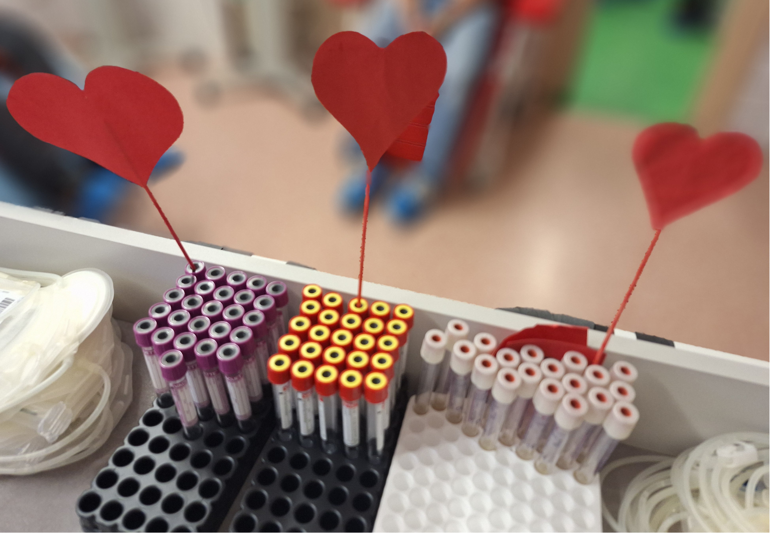 Valentýnské odběry krve přilákaly na transfuzní oddělení Nemocnice Pardubického kraje téměř dvě stovky dárců